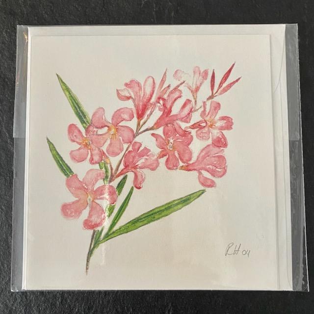Karte Oleander 04 rosa klein