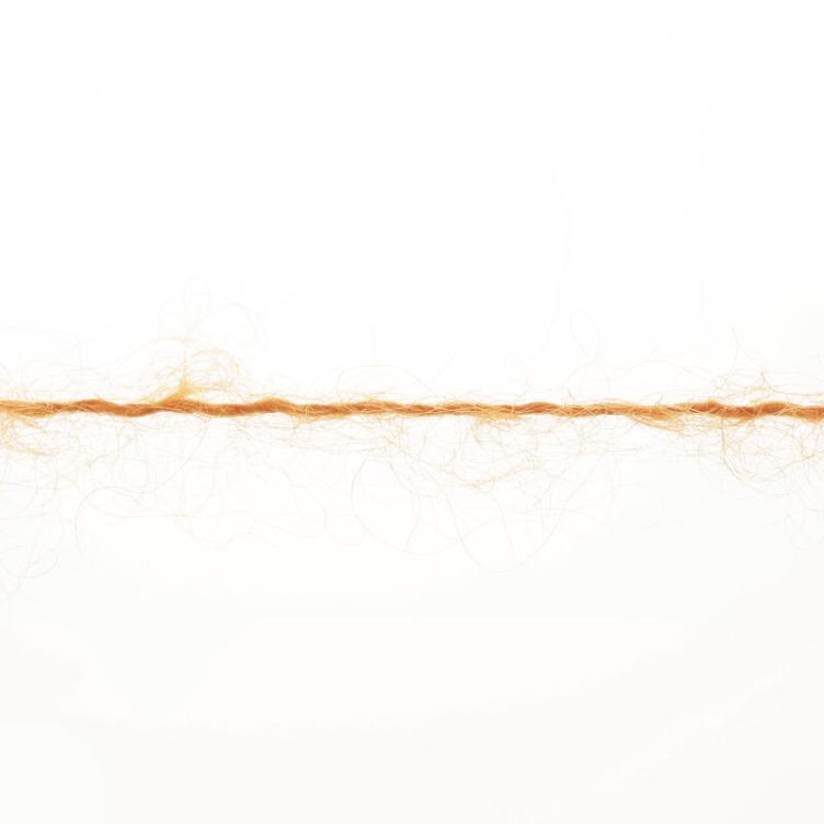 Suri Alpaca mandarine Col159, 25g/100m - 1