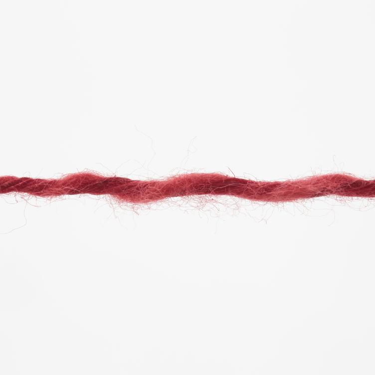 Pride `rot` 100g 280m Col60 AH!! - 1