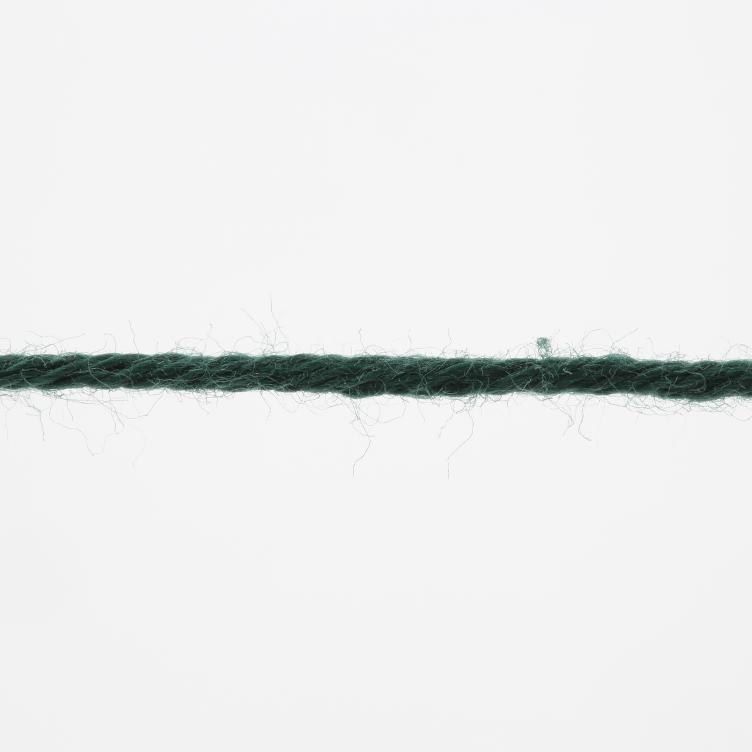 Baby Cotton Bio dunkelgrün 50g 180m Col218 - 1