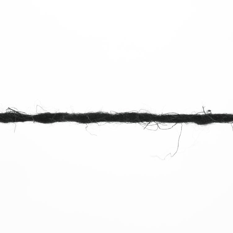 Ananas schwarz Col04 50g - 1