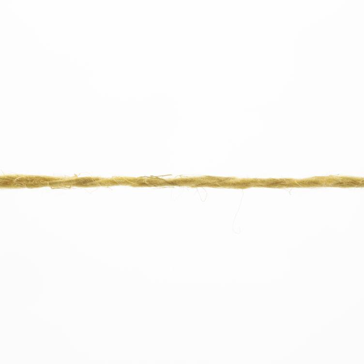 Ananas senf Col77 50g - 1